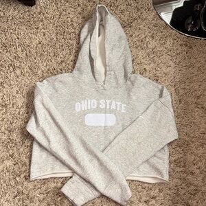Nike Gray Ohio State Cropped Hoodie